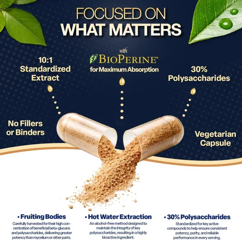 Miniatura 5 de Natures Elements Hongo melena de león con BioPerine – Extracto 10:1 – 1000 mg melena de león + 10 mg de bioperina – 30% polisacáridos – 60 cápsulas