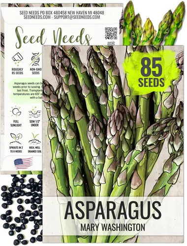 Miniatura 13 de Seed Needs Semillas de espárragos para plantar espárragos Mary Washington, semillas de vegetales perennes sin OMG y sin tratar para plantar un