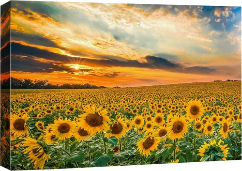 Miniatura 11 de SIGNFORD Lienzo impreso para pared, bosque brumoso, amanecer, bosques encantados y luz matutina, fotografía, realismo, decorativo, escénico
