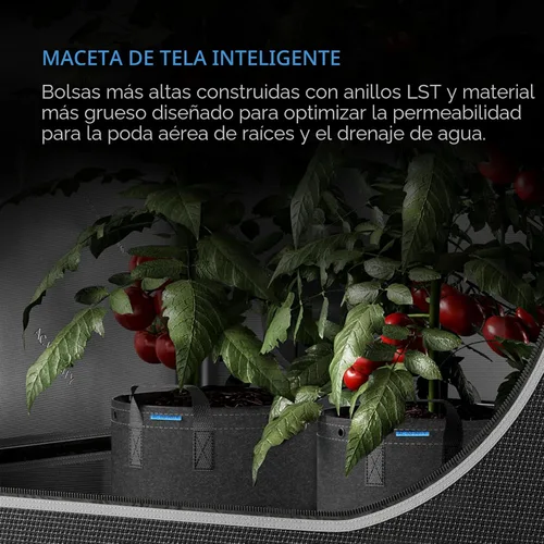 Miniatura 2 de AC Infinity - Macetas de tela resistente de 5 galones para cultivo de aireación, 5 unidades con tela no tejida gruesa de 11.29 oz (320 G) y anillos