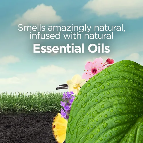 Miniatura 5 de Botanica de Air Wick - Aromatizante de enchufe con aceites perfumados