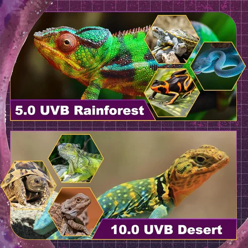 Miniatura 3 de Kit combinado de iluminación T5 HO UVB, lámpara de reptil de 8 W con bombillas fluorescentes, luz UVB Desert 10.0 para reptiles y anfibios, luz