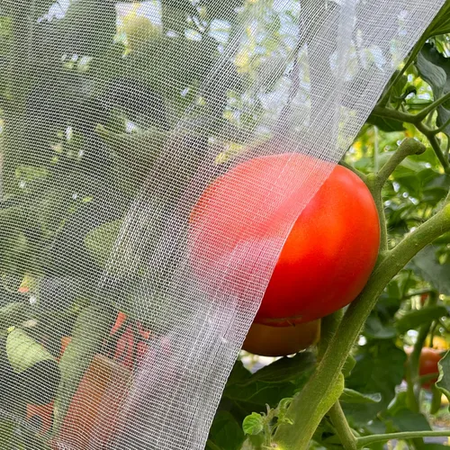Red de malla de jardín de 10' x 33' para plantas, cubierta ultrafina contra insectos para mantener árboles, verduras y frutas protegidos de