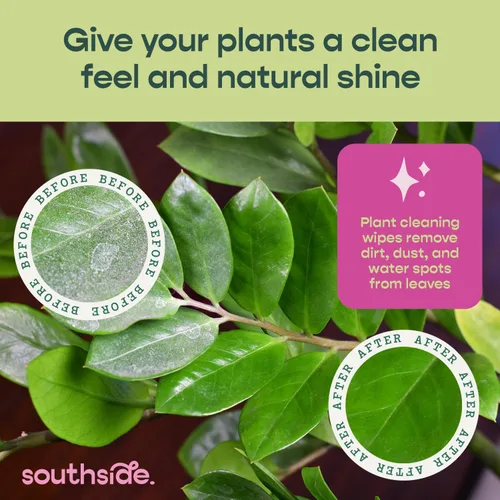 Miniatura 2 de Southside Plants - Toallitas de limpieza de plantas suaves a base de plantas para hojas brillantes y mejor fotosíntesis, sin perfume, extra grueso