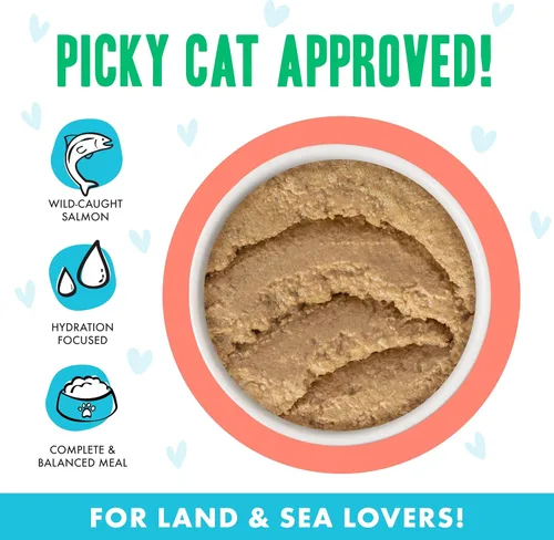 Miniatura 3 de Weruva B.F.F. Play – Best Feline Friend Paté Lovers, Aw Yeah!, Salmon & Atún Tuck Me in with Salmon & Tuna, lata de 2.8 oz (paquete de 12)