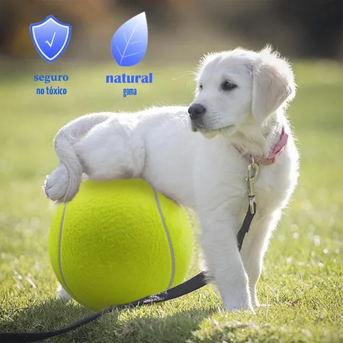 Miniatura 2 de Banfeng Pelota de tenis grande para perros, pelota de tenis gigante para perros, juguete grande para deportes al aire libre, regalo para perros