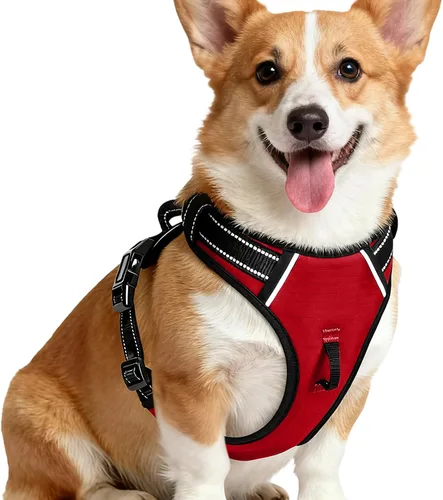 Miniatura 34 de Arnés para perro sin tirones, chaleco reflectante ajustable y acolchado para mascotas con asa de fácil control, fácil de llevar con nudo elegante