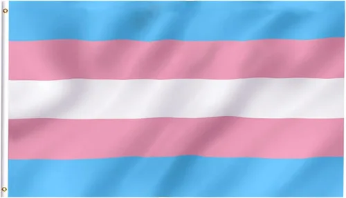 Bandera del orgullo transgénero de 3 x 5 pies, bandera de Staont de colores vivos y a prueba de decoloración, cabecera de lona y doble costura