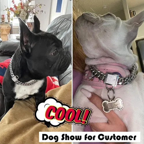 Miniatura 7 de Collar de perro con cierre de circonita de 0.555 pulgadas, collar de metal plateado para cachorros, collar de lujo para perro, pequeño mediano