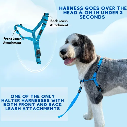 Miniatura 6 de ShawnCo Dream Walk Arnés para Perros Sin Tirones - Ajustable, Cómodo, Fácil de Usar, Cabestro para Mascotas para Ayudar a Detener los Tirones