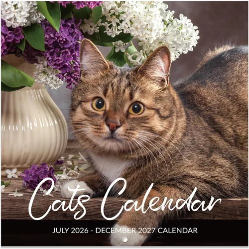 Calendario 2026-2027 – Calendario de pared 2026-2027, julio de 2026 a diciembre de 2027, 12 x 24 pulgadas (abierto), calendario de gato de 18 meses