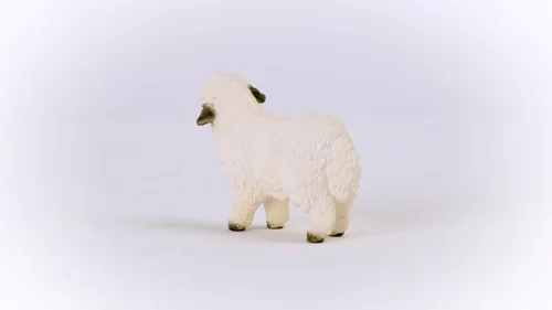 Miniatura 6 de Schleich Farm World - Valais - Juguete de oveja de nariz negra - Juguetes realistas de animales de granja para niños a partir de 3 años