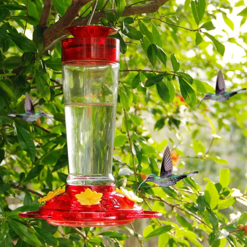 Miniatura 4 de Shrdaepe Comedero para colibríes, comedero para pájaros con botella de vidrio, 5 puertos de alimentación, capacidad de néctar de 10 onzas Rojo