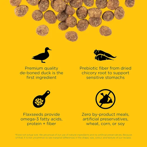 Miniatura 3 de Go! Solutions Sensitivities Limited Ingredient Duck Grain-Free Dry Cat Food, Chicken-Free Kibble Made by Experts for Sensitive Stomachs & Food