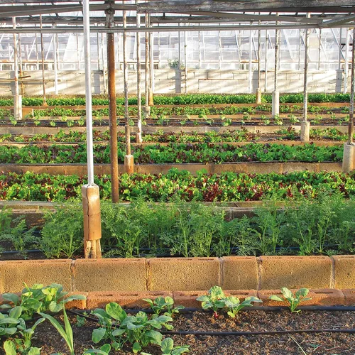 Miniatura 7 de Estacas de jardín de 6 pulgadas, grapas de metal para paisaje, estacas de calibre 11, estacas de acero galvanizado, grapas de seguridad para barrera