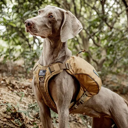 Miniatura 6 de ONETIGRIS CAMLUS - Mochila para perros en forma de Y, sin tirones, con anillas en D, ligera, para senderismo, caza, campamento, viajes