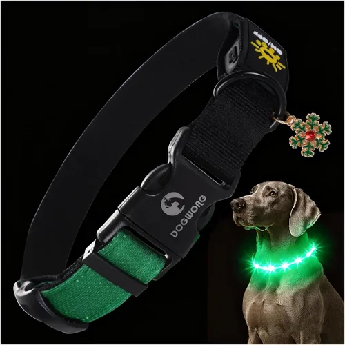 Miniatura 9 de DOGWONG Collar de perro con luz LED para Halloween, recargable e impermeable, collares de perro iluminados para otoño para caminar por la noche