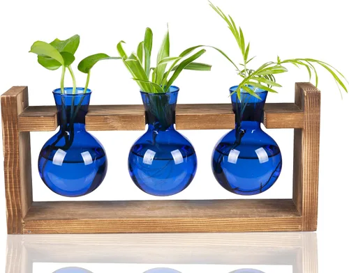 Kingbuy Estación de propagación de terrarios de plantas de vidrio, jarrones de colores de 3 bombillas con soporte de madera retro, maceta de jardín