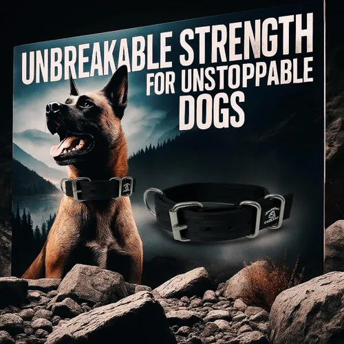 Miniatura 8 de SparkDog - Collar de perro resistente de 1.5 pulgadas, correa ajustable de grado de cinturón de seguridad con herrajes de acero inoxidable