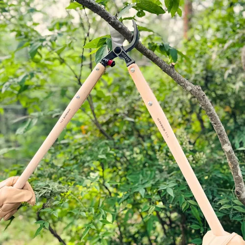 Miniatura 6 de Hickok Podadora de Árboles de Servicio Pesado – Cortador de Ramas de Árboles de 30" de Largo Alcance con Mangos de Madera de Hickory Herramienta