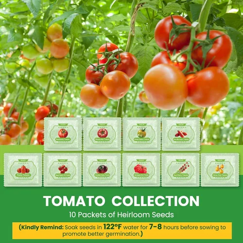 Miniatura 3 de Paquete variado de 10 semillas de tomate, más de 5000 semillas de tomate de jardín para plantar al aire libre e interior, regalo de jardinería