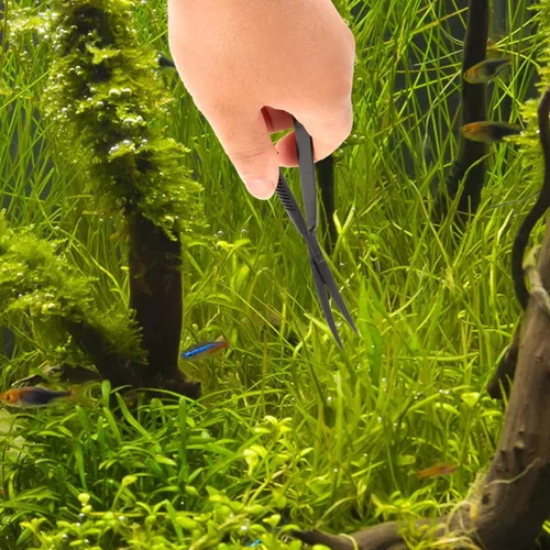 Miniatura 8 de POPETPOP Tijeras curvadas de acuario de 6.1 pulgadas, tijeras de hierba para agua, acción de precisión con resorte para paisajismo acuático y poda