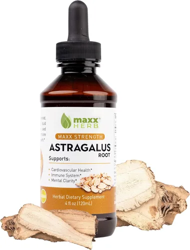 Maxx Herb Extracto de raíz de astrágalo: la tintura líquida de máxima fuerza se absorbe mejor que las cápsulas o el polvo, para apoyo inmunológico y