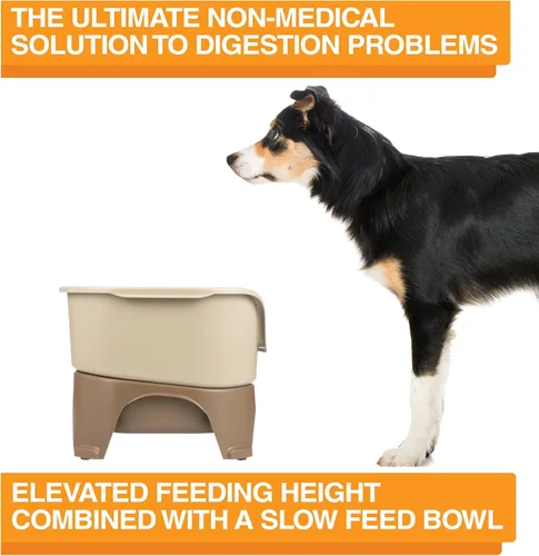 Miniatura 7 de Neater Feeder Express - Cuencos para perros medianos o grandes, color capuchino, paquete que incluye cuenco de alimentación lenta Capuccino