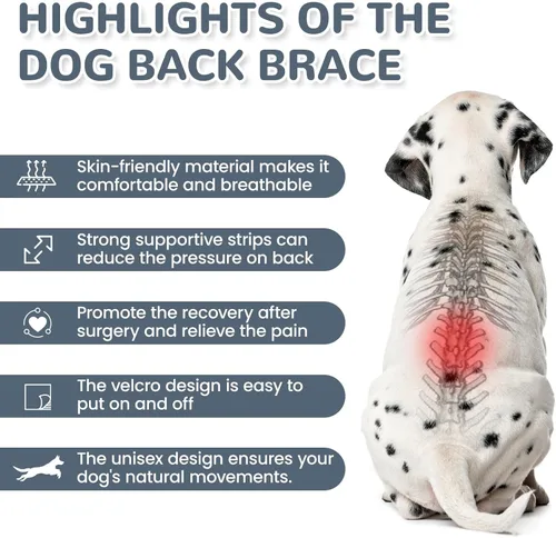 Miniatura 7 de Soporte de espalda para perro para IVDD y recuperación espinal, chaleco de apoyo transpirable ajustable para perro, protector lumbar para perros