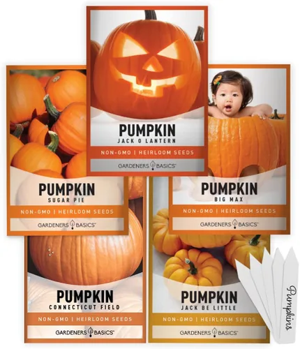 Gardeners Basics, Semillas de calabaza para plantar – 5 variedades Baby Boo, Giant Big Max, Jack Be Little, Jack O Lantern, pastel de azúcar, ideal