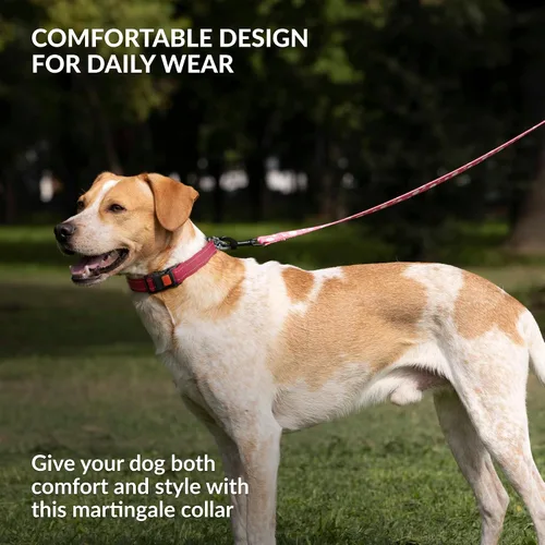 Miniatura 5 de CollarDirect Martingale - Collar para perro con cadena de acero inoxidable y hebilla de liberación rápida, collar reflectante para perros grandes