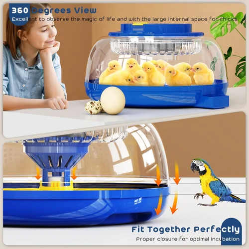 Miniatura 8 de Incubadora de 18 huevos con giro automático de huevos y control de humedad, recarga de agua, vela de huevos, incubadoras para incubar pollo, patos