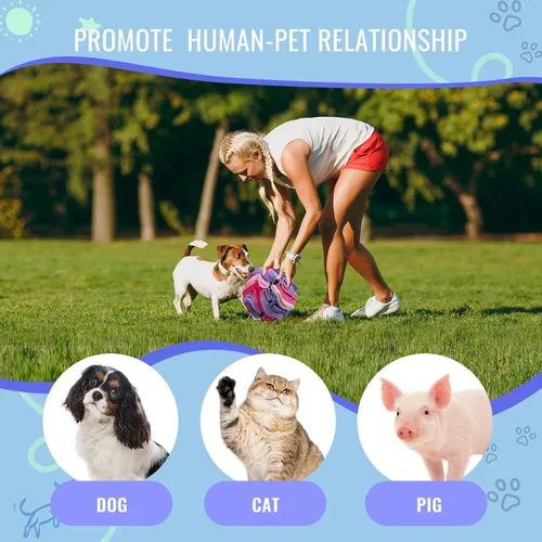 Miniatura 4 de Pelota de olfateo para mascotas, bola interactiva para perros ciegos, entrenamiento para aliviar el estrés, juguetes de enriquecimiento para perros