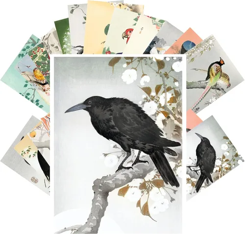 Miniatura 5 de Pixiluv Postales vintage (24 piezas de 10x15 cm cada una) Ilustración de libro botánico antiguo de colibríes y pájaros pequeños Tarjetas de nota Agua