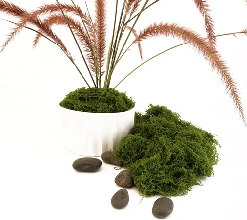 Miniatura 4 de El musgo verde oscuro se utiliza para manualidades, musgo artificial, rellenos de jarrones de vidrio, bodas, Navidad, fiestas verdes de primavera