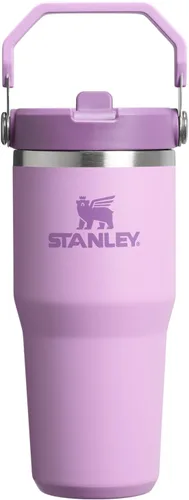 Miniatura 84 de Stanley IceFlow - Vaso con pajilla abatible con asa, de 20 onzas, tapa giratoria y popote abatible, botella de agua resistente a fugas, acero