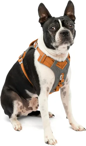 Miniatura 8 de Arnés para perro Kurgo Journey Air - Ajuste seguro para perros activos - Pecho acolchado - Tela Ripstop ligera - Malla transpirable - Borde Rojo