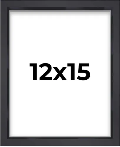 Miniatura 20 de Marco contemporáneo de caja de sombra negra de 14 x 25 pulgadas, profundidad de espacio utilizable, tamaño interior 14 x 25 o 25 x 14 pulgadas