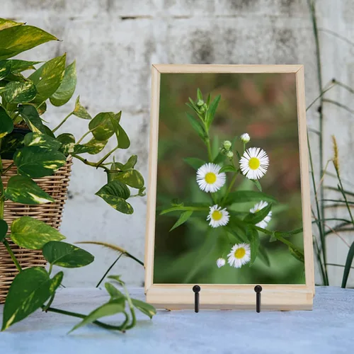 Miniatura 5 de Ouskr 4 Piezas Soportes para Platos de 4-1/4 Pulgadas para Exhibición, Soportes de Metal Hierro para Marcos de Cuadros para Libro Foto Pequeños