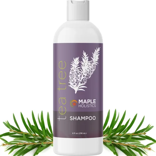 Champú de árbol de té, Puro y Natural para Hombres y Mujeres, Cuidado anticaspa, Apto para cabellos teñidos, Hecho en Estados Unidos por Maple