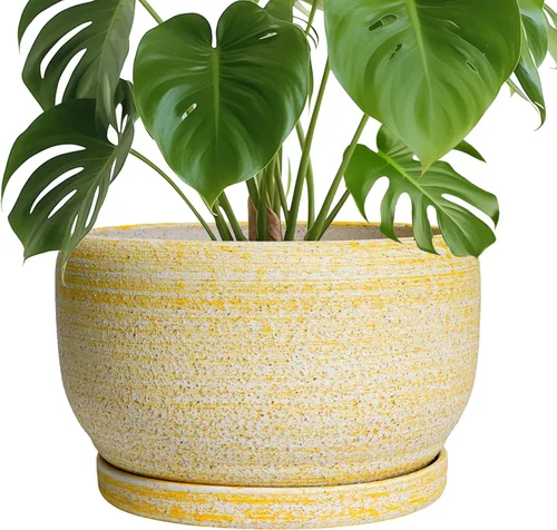 Miniatura 80 de SQOWL Macetas de cerámica – Maceta de 6 pulgadas con orificio de drenaje y bandeja, maceta redonda para plantas de interior, maceta decorativa