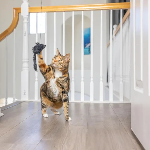 Miniatura 4 de SPOT A-Door-Able - Juguete interactivo para gatos con sonajero colgante y hierba gatera, entretiene a los gatos durante horas, disfruta