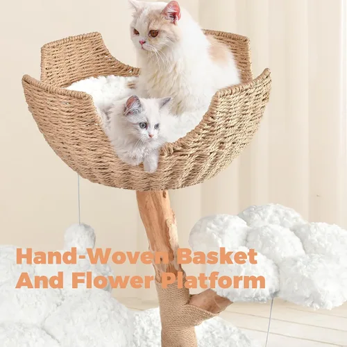 Miniatura 4 de Easyego Árbol de Gato Moderno, Torre de Árbol de Gato de Madera Estética para Gatos Grandes, Condominio de Lujo para Gatos con Postes para Rascar