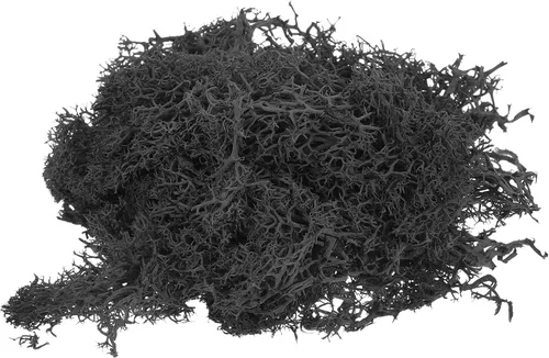 MECCANIXITY Musgo artificial de musgo de 3.5 onzas, musgo artificial preservado natural para manualidades, manualidades, proyectos florales,