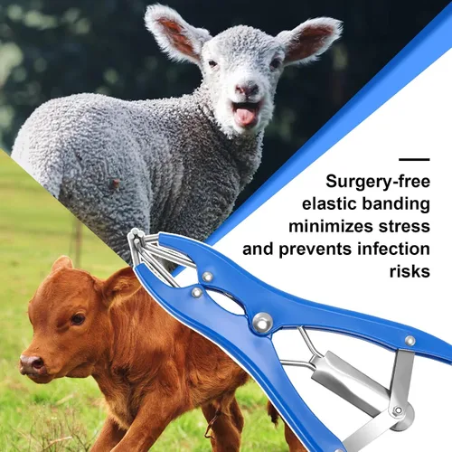 Miniatura 7 de Kit de Anillado para Cabras, Elastrador de Acero Inoxidable con 200 Piezas de Bandas de Goma de 3 Tamaños y Herramienta Expansora para el Manejo