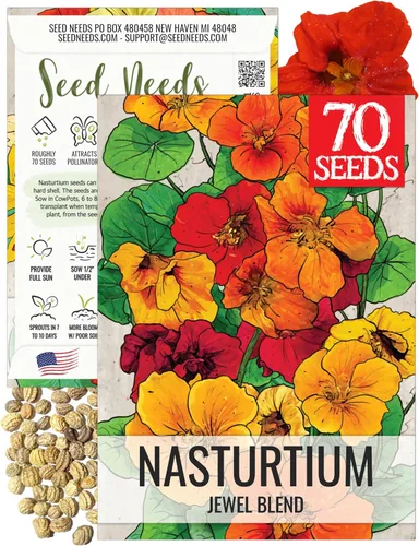 Miniatura 12 de Seed Needs Semillas de Nasturtium de Terciopelo Negro para Plantar - Semillas Herederas No Tratadas y de Polinización Abierta - Flores Comestibles