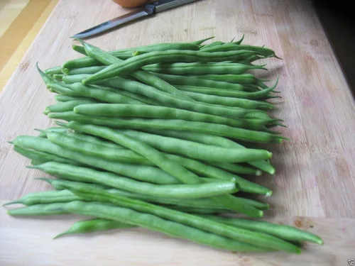 200 frijoles, palo azul de Kentucky, cápsulas de hasta 9 pulgadas de largo. ¡Ganador del premio AAS!