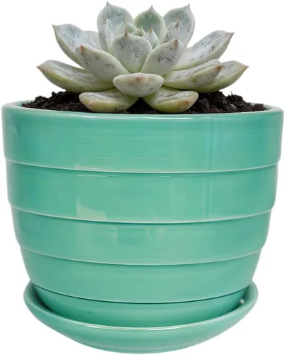 Miniatura 10 de Bonita maceta circular de cerámica para decoración del hogar y jardín, suculentas, cactus, maceta no incluida (azul, 3.19 pulgadas)