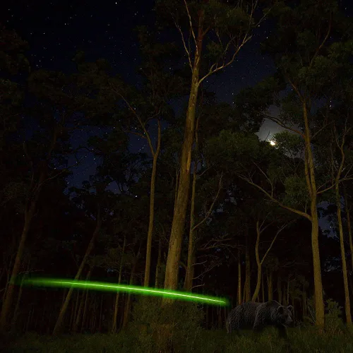 Miniatura 4 de 6 piezas G X H S GT puntas iluminadas con LED para flechas con diámetro interno de 0.165, 0.204, 0.233, 0.244, 0.246 pulgadas, destornillador Verde