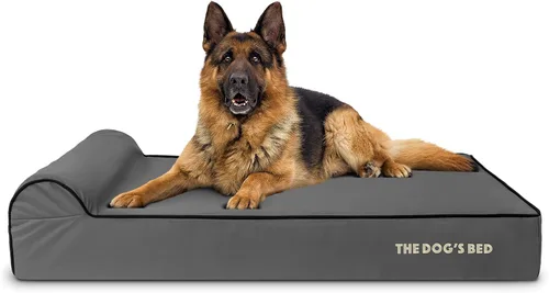 Miniatura 53 de The Dog's Bed - Cama Ortopédica para Perros con Reposacabezas XL Negra de Felpa, Espuma Viscoelástica, Alivio del Dolor para Artritis, Displasia